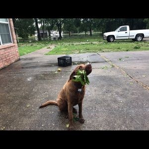 Meet your Posher, Astrid